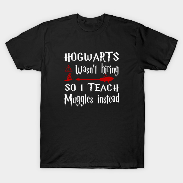 Hogwarts Wasn't Hiring So I Teach Muggles Instead